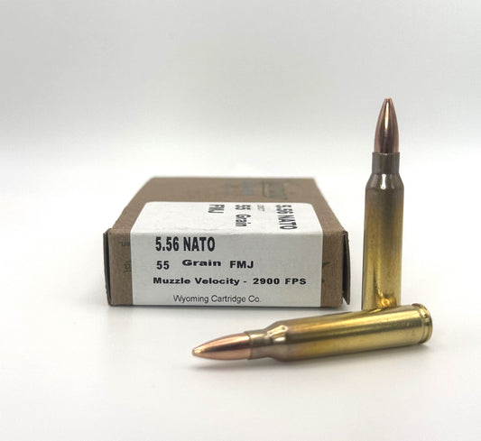 5.56 55gr FMJ 20rd